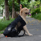 Ventilated and Breathable Pet Backpack Carrier