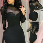 Trendy Women's Sheer Mesh Bodycon Dress (Europe/America)