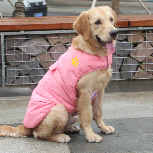 Winter Cotton Coat for Dogs