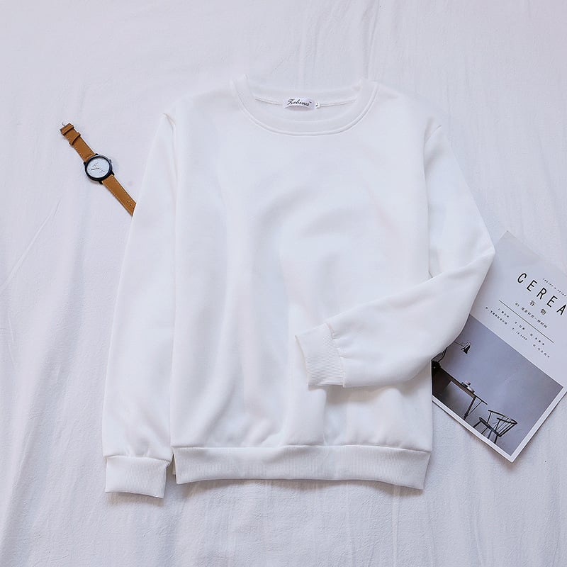 Korean Women's Plus Velvet Autumn Sweater in Bulk