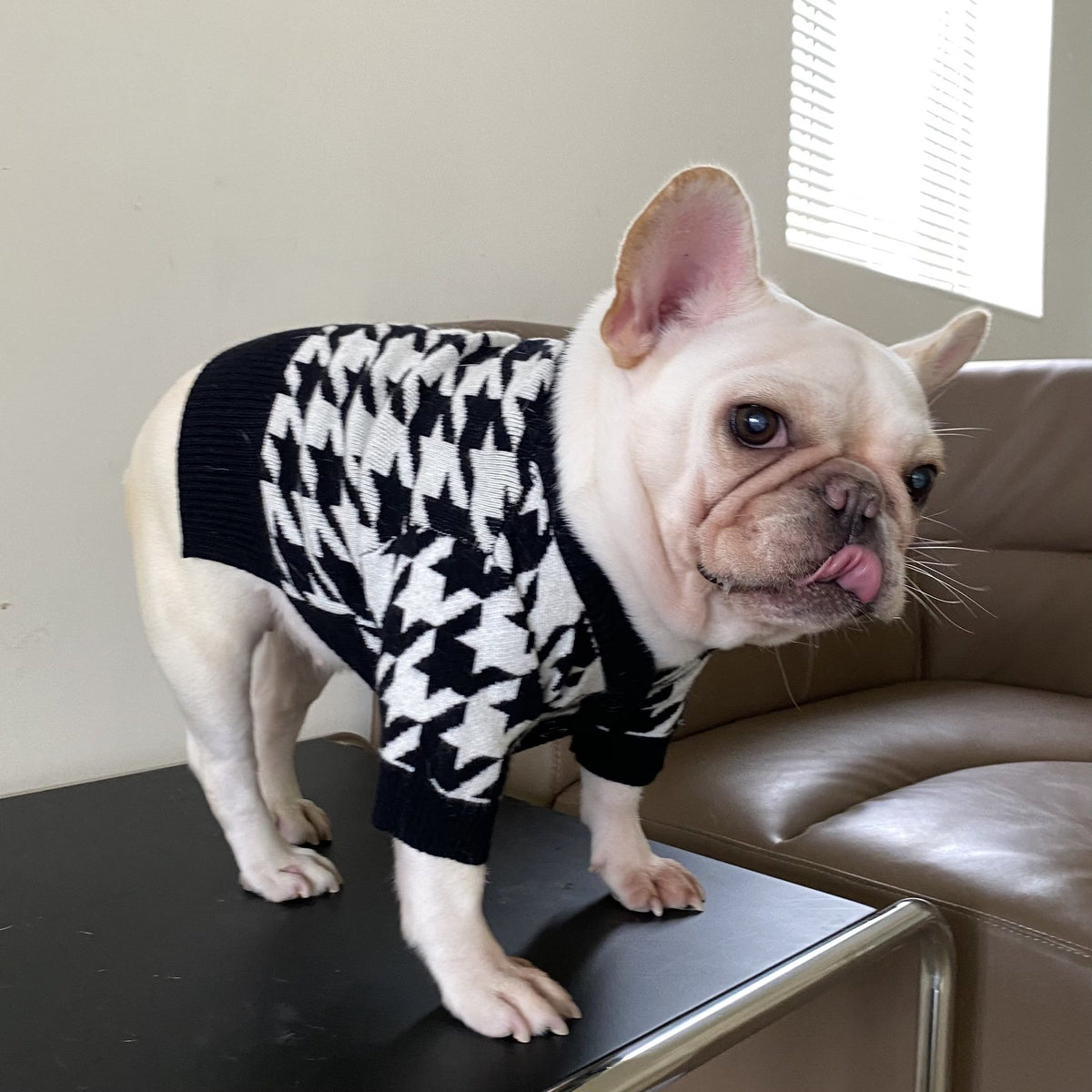 Pet Tide Brand Fall Winter Sweater for Dogs and Cats