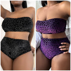 2023 Plus Size High Waist Bikini Set for Women