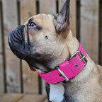 Nylon Bandana Foam Scarf for Pet Dogs