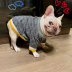 Autumn and Winter Sweater Collection