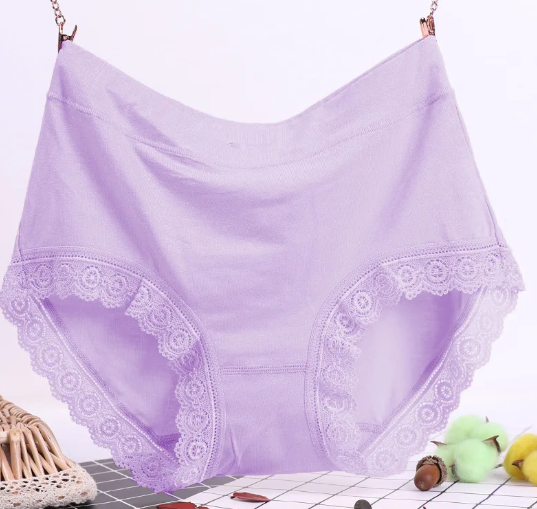 Lace Elegance Plus Size High Waist Panties (Single Piece)