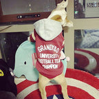 Hooded Pullover Letter Jacket for Dogs