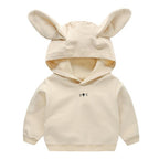 Korean Style Boys' Pullover for Spring and Autumn | Streetwear