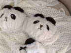 Plush Panda Wireless Bra Set