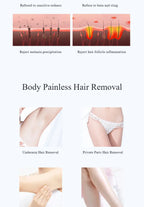 Women's Bikini Shaver and Trimmer for Smooth Shaving