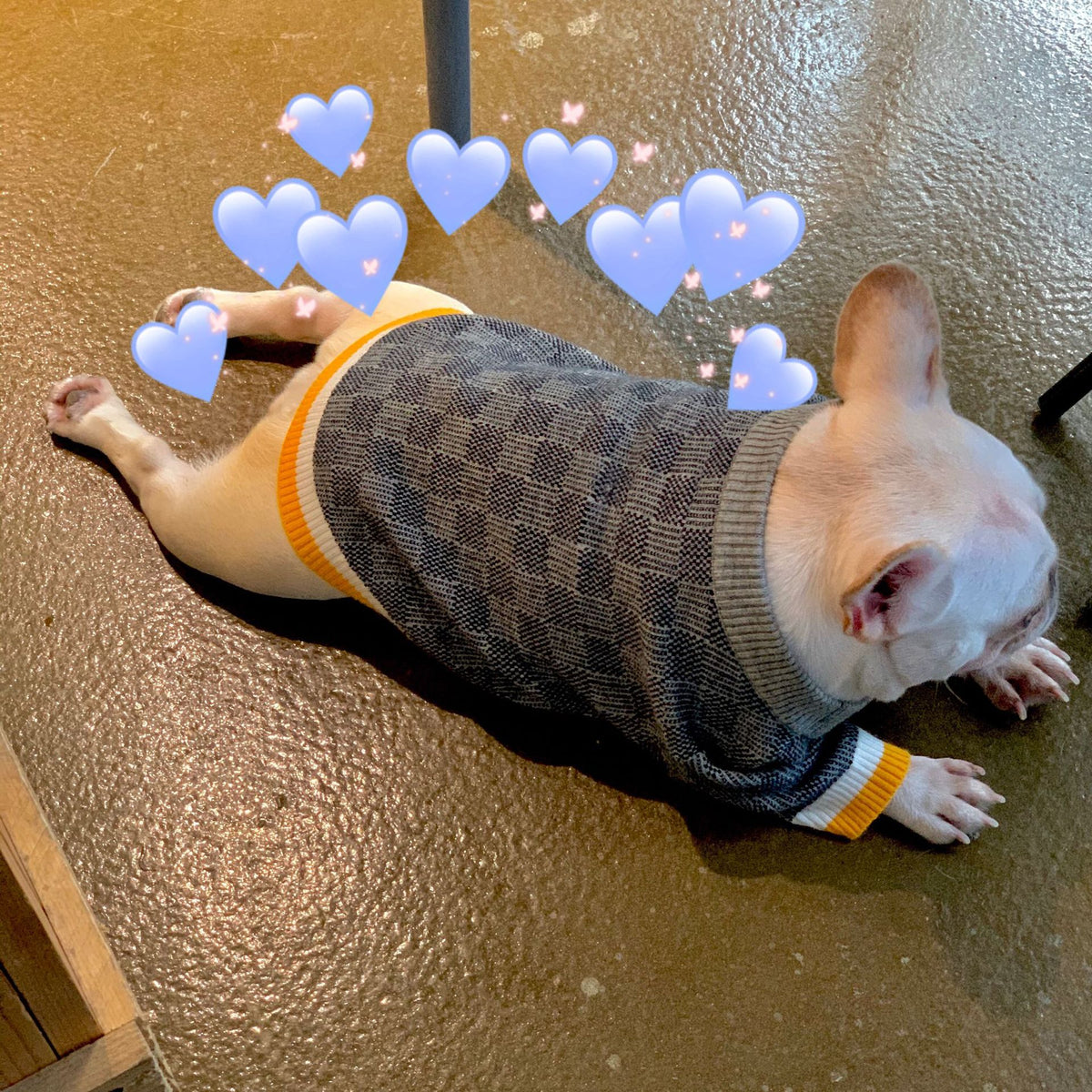 Autumn and Winter Sweater Collection