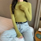 2023 Korean Slim Fit Turtleneck Knit Top for Women