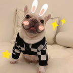 Schnauzer and Kitten Winter Sweater for Pets