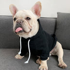 Trendy Fleece Hooded Sweater for Small Dogs