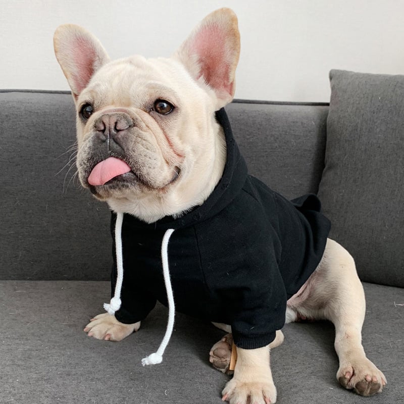 Trendy Fleece Hooded Sweater for Small Dogs