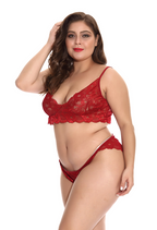 Plus Size Lingerie and Sleepwear for Amazon Supply