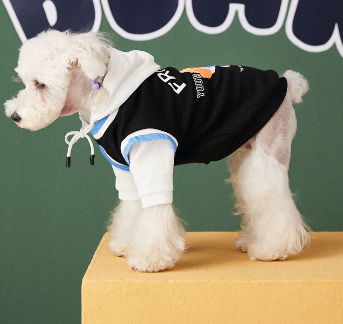 Contrast Color Two-Piece Pet Sweater Fashion Stitching