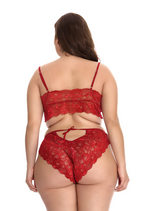 Plus Size Lingerie and Sleepwear for Amazon Supply