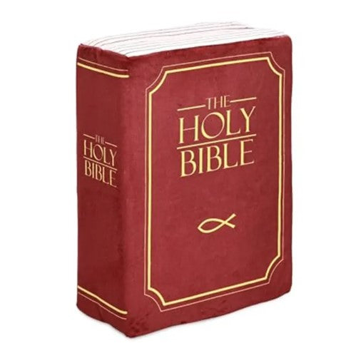 Bible Pillow | Home Decor