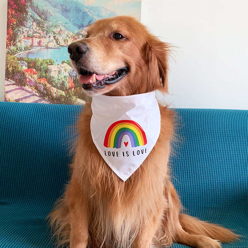 Pet Rainbow Triangle Scarf and Dog Towel