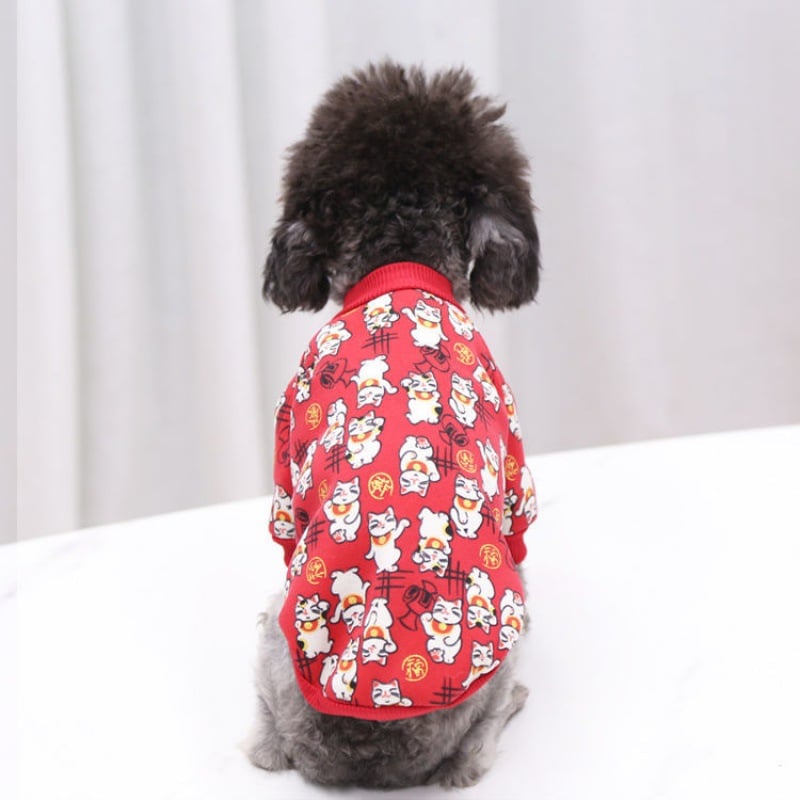 Kimono and Windbreaker for Small to Medium Pets