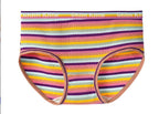 High-Waisted Cotton Plus Size Rainbow Striped Panties