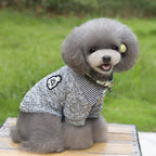 Pet Hoodie with Collar for Dogs and Cats | Streetwear
