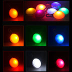 LED Pet Pendant with Glow-in-the-Dark Dog Tag