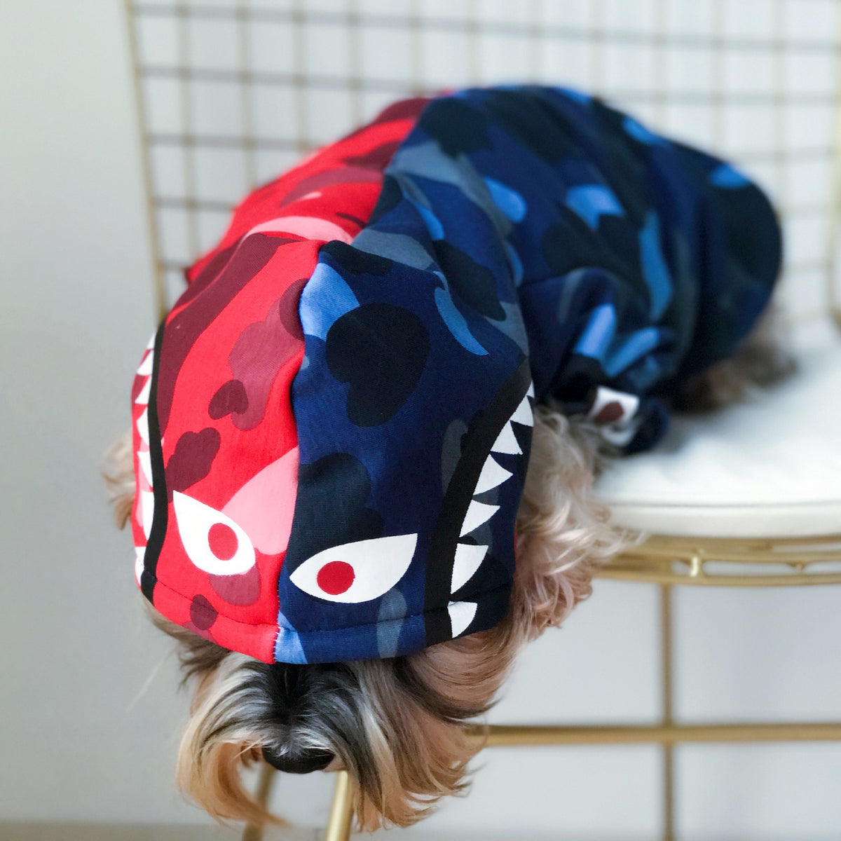 Thick Fall/Winter Pet Hoodie for Dogs and Cats