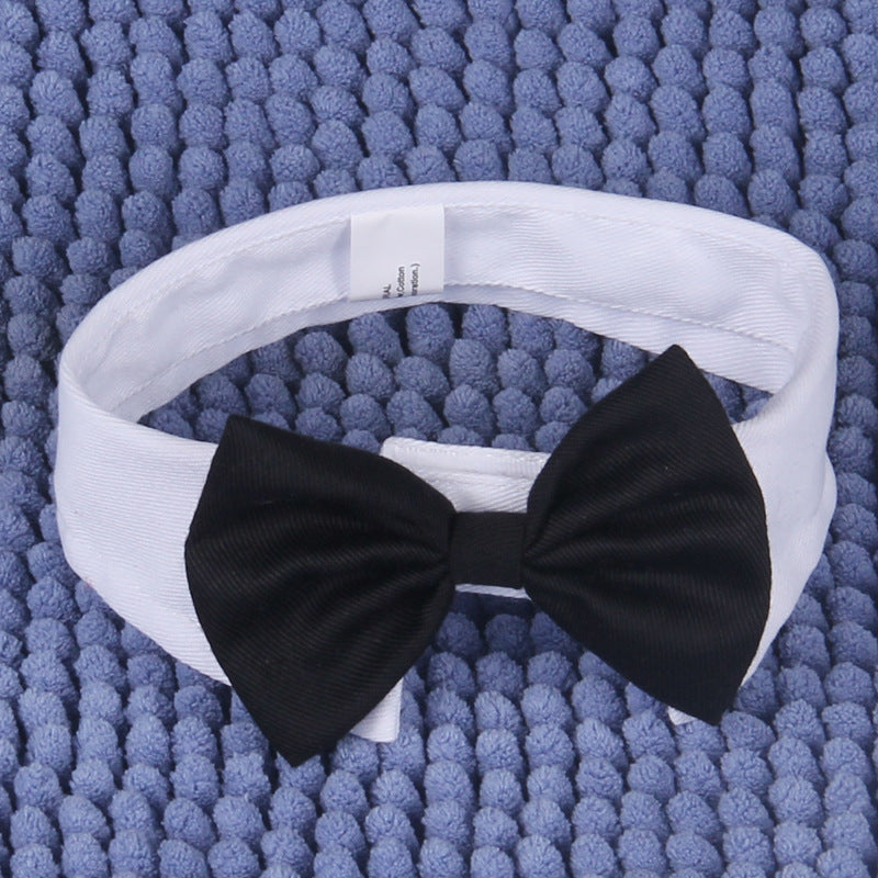Teddy Dog Bow Tie and Scarf Collar for Small Dogs