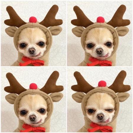 Hooded Fleece Sweater for Puppy and Cat Pets