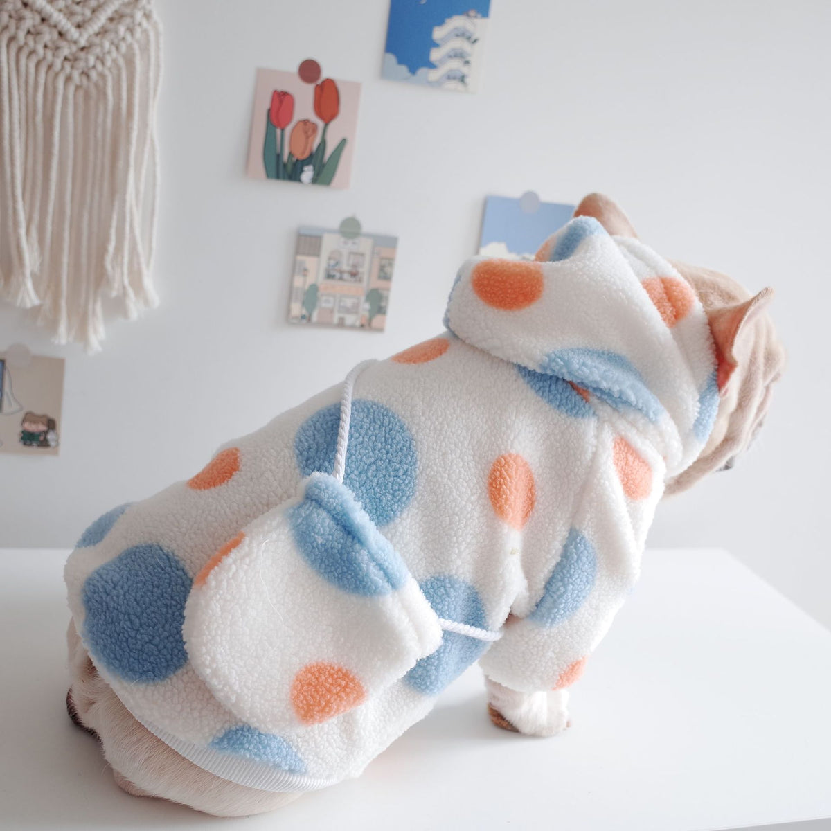 Dog Fleece Dot Print Hoodie for Pets