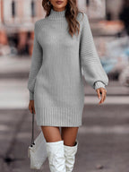 Women's Turtleneck Sweater Dress