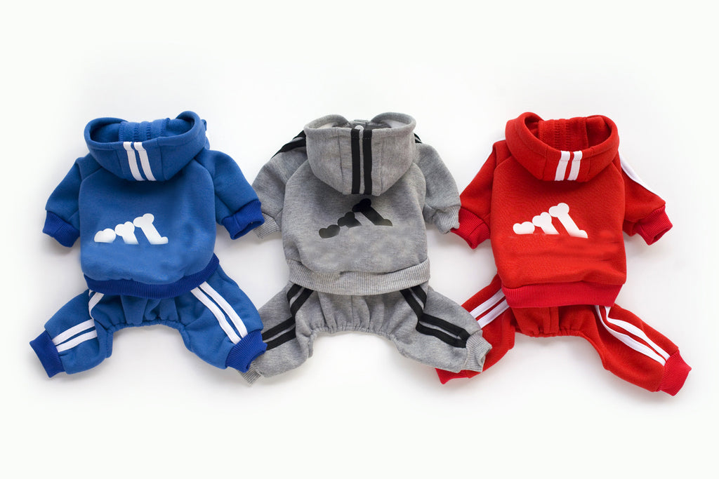 Dog Apparel Spring Autumn New Teddy Hoodie Wholesale | Streetwear