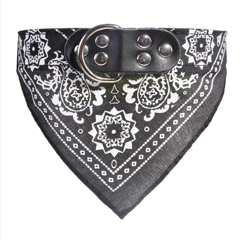 Printed Triangle Scarf and Dog Collar for Small Dogs