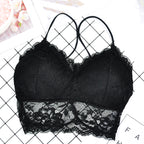 Black Lace Wireless Bralette Tube Top