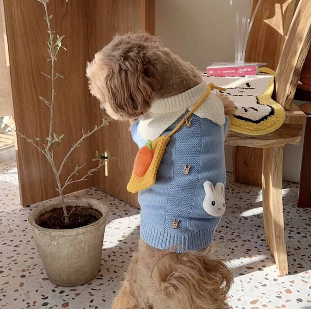 Warm Knitted Cartoon Pet Sweater