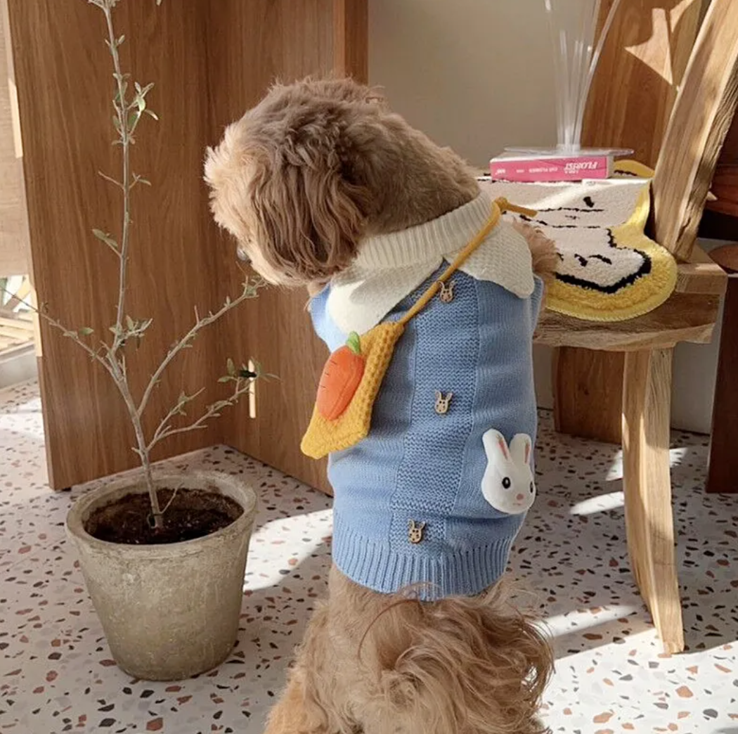 Warm Knitted Cartoon Pet Sweater