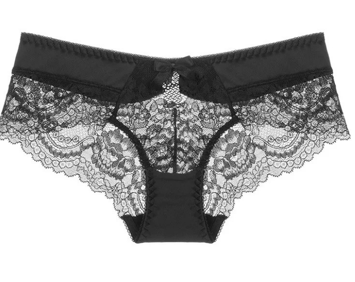Lace Trim Transparent Mesh Women's Low Waist Panties