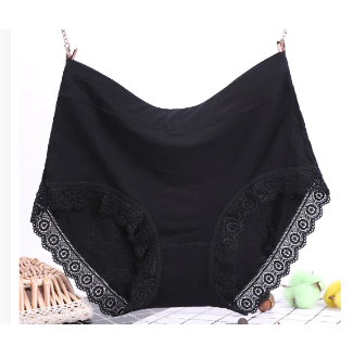 Lace Elegance Plus Size High Waist Women's Panties