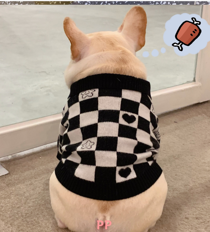 Schnauzer and Kitten Winter Sweater for Pets