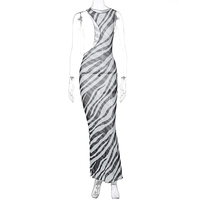 Mesh Perspective Sleeveless Slim Fit Dress
