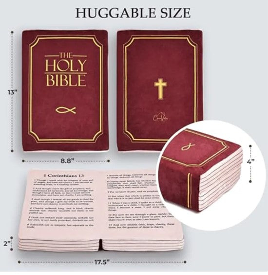 Bible Pillow | Home Decor