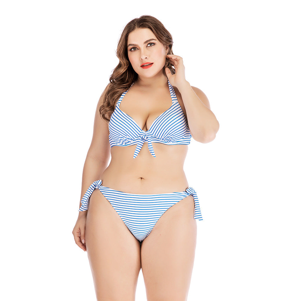 Plus Size Striped Print Bikini with Steel Support