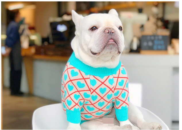 Cute Stretchy Sweater for Dogs - Pug, Bulldog, Bichon