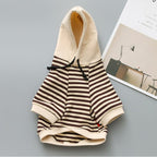 Teddy Dog Terry Sweater - Fashion for Small Dogs
