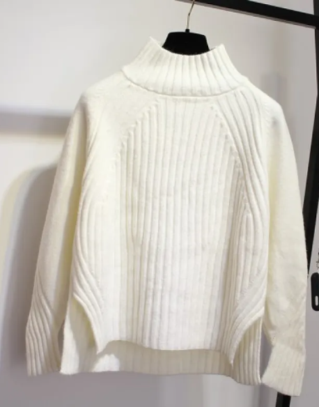 Turtleneck Pullover Long-Sleeved Sweater | Streetwear