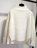 Turtleneck Pullover Long-Sleeved Sweater | Streetwear