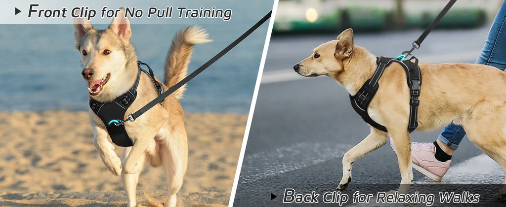 No-Pull Dog Harness with Handle and Reflective Straps - Adjustable Padded Mesh Vest Harness for Small Medium Large Dogs, No Choke Walking Harness