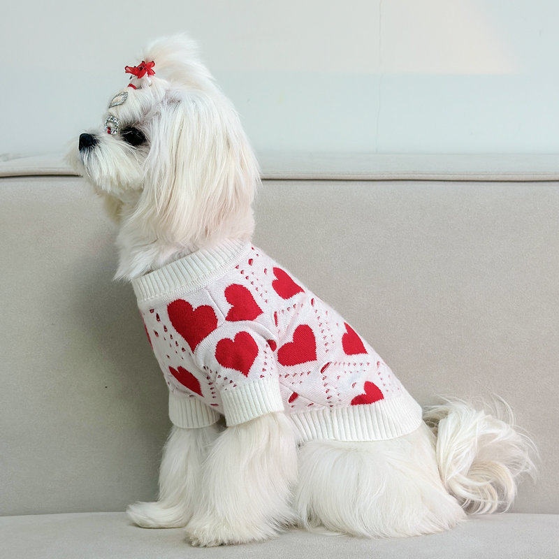 Padded Warm Sweater for Dogs