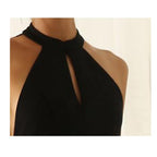 Fashionable Women's Lace Halter Dress with Back Cutout